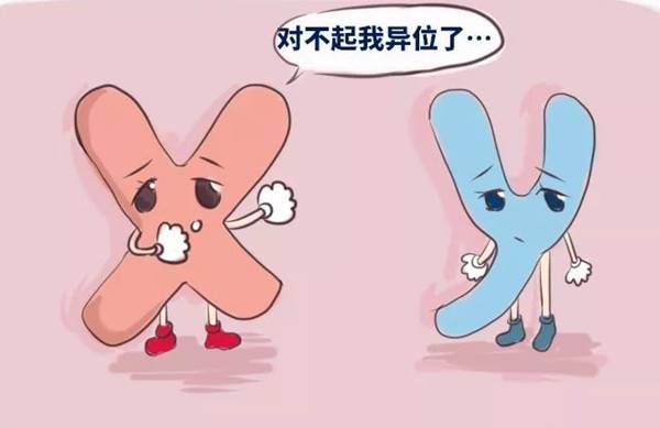 杭州试管助孕公司：窦性卵泡4枚并不正常，可推测排卵不成熟